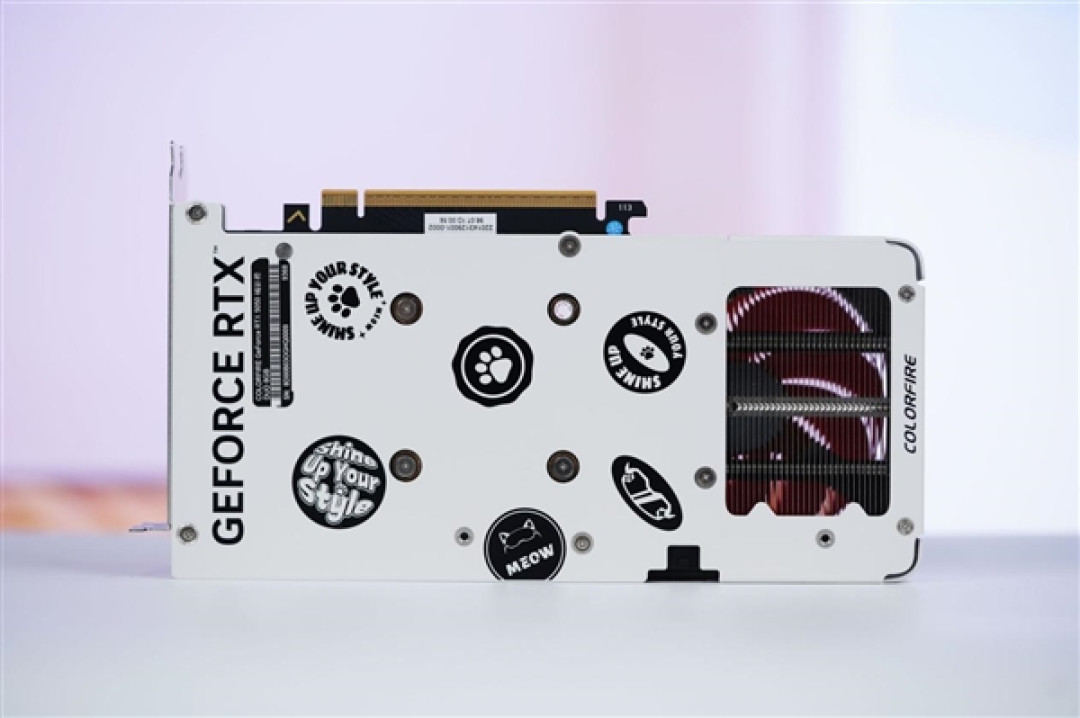 橘白小清新!七彩虹COLORFIRE RTX 5050 MEOW橘影橙DUO OC图赏