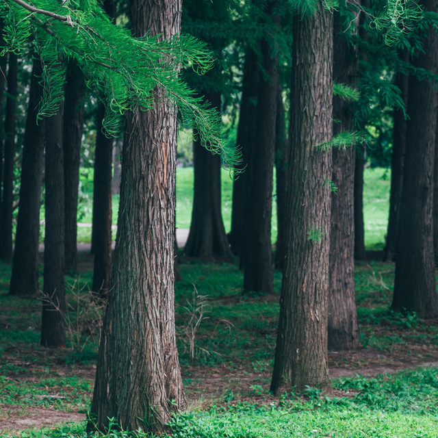 国内CSPM认证考试培训机构深度解析