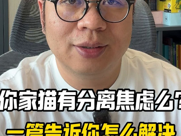 你家猫有分离焦虑么？一篇告诉你怎么解决