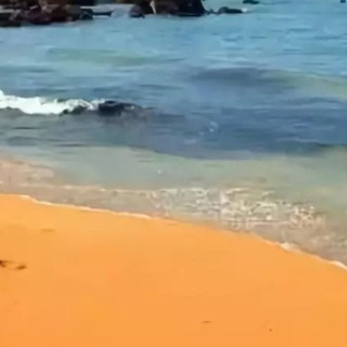 夏日防晒秘籍：小技巧与好物推荐