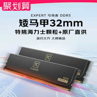 十铨EXPERT / 引领者 DDR5 台式机内存：性能与设计的卓越融合