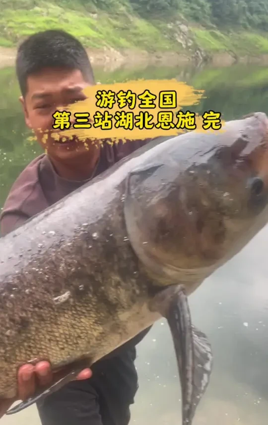 资源是真的好呀！可惜要离开了，真还舍不得#原来钓鱼才是抖音运动顶流 #飞鲨三代