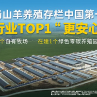 三伏天喝羊奶才是真养生？纯山羊奶粉同时征服健康和味蕾