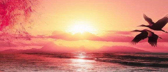 儿童营养早餐新选择：海胆水饺