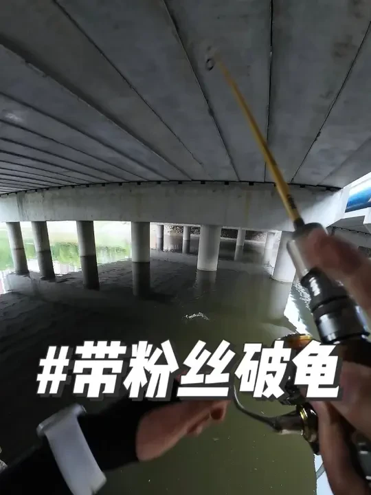 带粉丝狂拉是有难度，但破个龟还是太简单 #路亚 #钓鱼 #哈斯达X6纺车轮 #九慕屋天龙座