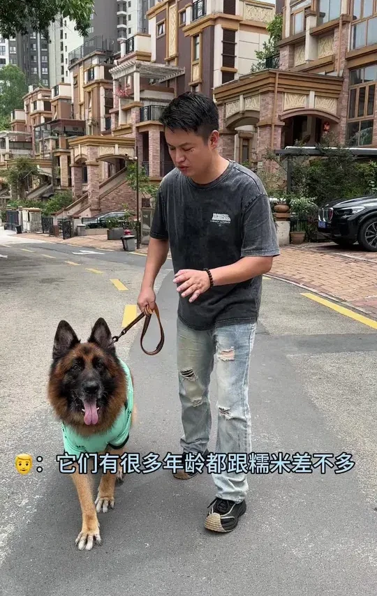 糯米十岁体检报告来啦，姨姨们注意查收🤣#狗狗糯米#万和安睡洗V9S #恒温更可靠万和昊宠你#万和安睡洗