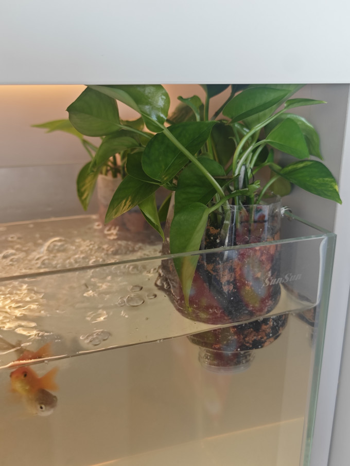 小米其他鱼缸