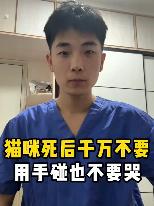 猫咪死后不要做的事情。 猫咪走后不要用手碰，也不要哭不要埋进土里。这不是迷信，真实的原因你肯定想不到。#猫咪 #养宠进阶指南 #人人都是爱宠分享官 #科学养宠攻略 #猫咪离世