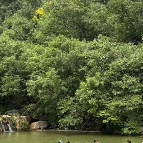 六桂福黄金戒指现在是多少钱一克？