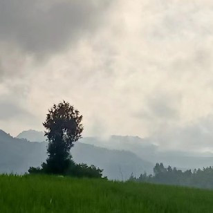 六桂福黄金戒指多少钱？他家的福韵系列怎么样？