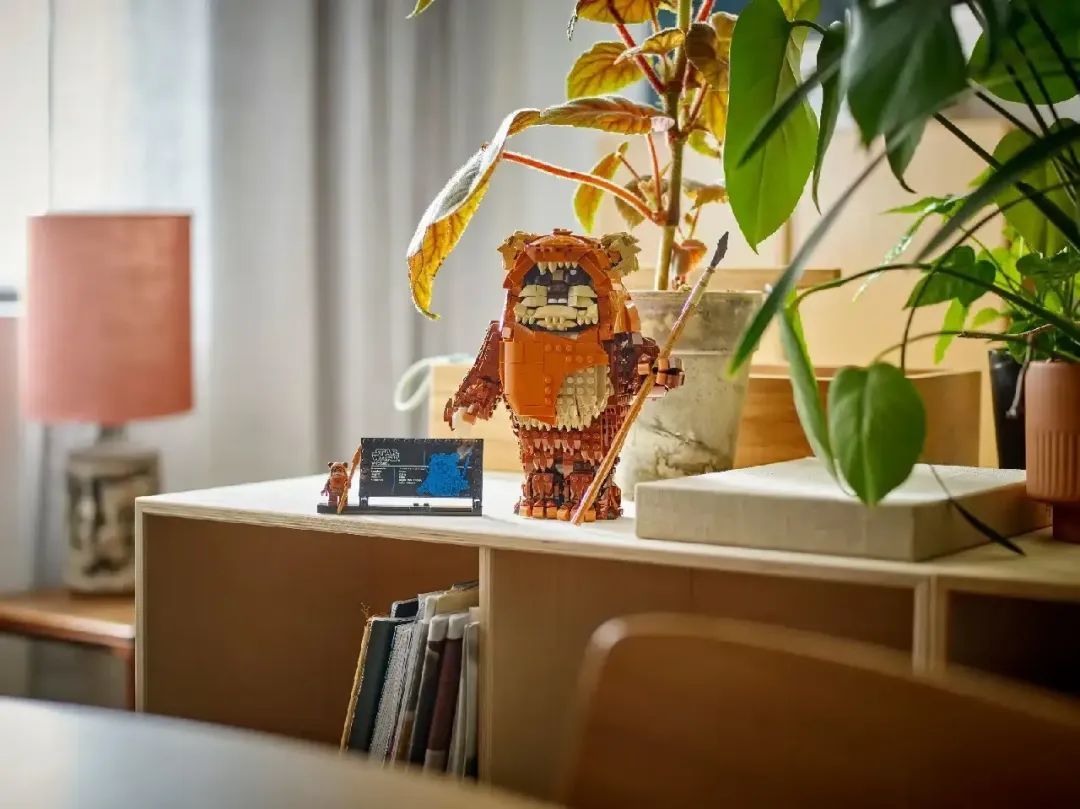 乐高8月新品继续曝光！Wicked书立 | 星战Ewok |万圣节套装| 街机