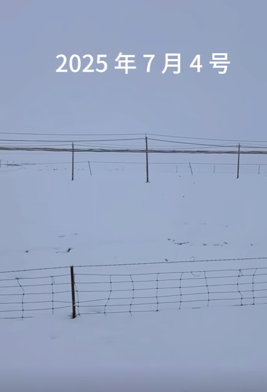 青海祁连七月飞雪 当地气象局回应:概率非常低