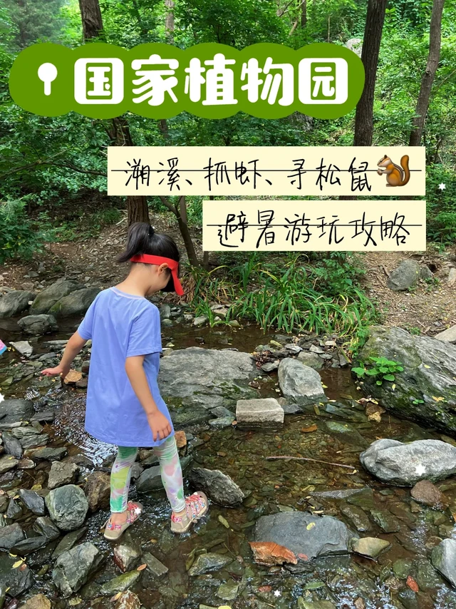 北京市内溯溪抓虾寻松鼠好去处｜国家植物园