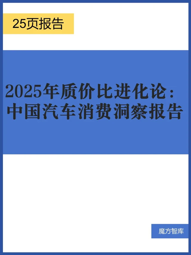 2025年质价比进化论：中国汽车消费洞察报告