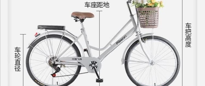 🚲通勤必备！飞鸽复古单车，邂逅骑行之美