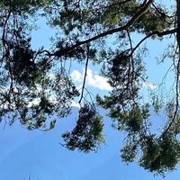 力博得智能牙刷，旅行必备神器