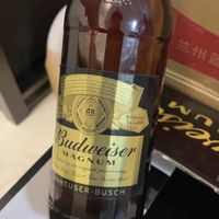 夏天喝啤酒,尝尝这款百威黑金美式拉格啤酒