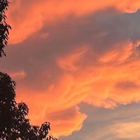 Glambody文胸，真的那么神奇？