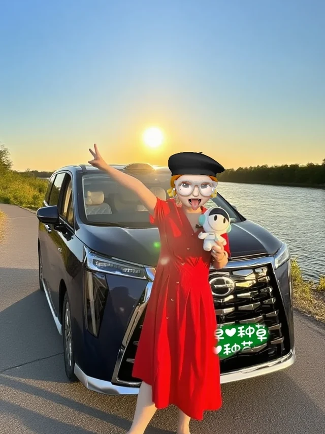 新买的MPV，也终于有车了🚗