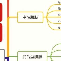 辨别肤质与护肤秘籍