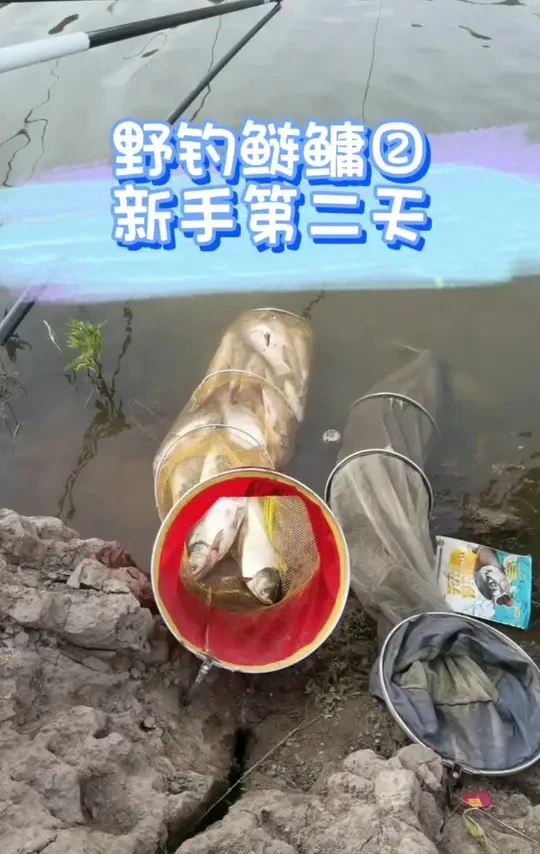 记录第二次野钓鲢鳙,旁边钓友又爆护啦,为啥我还是三条哈哈#极比克 #极比克钓鱼添加剂#钓鱼王地狱猫 #极比克钓鱼添加剂 #汉鼎飞越#全能战plus