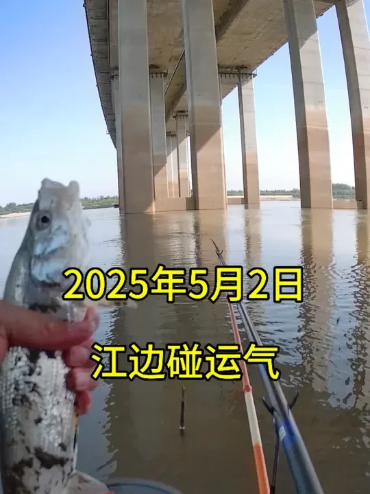 小鱼不想钓,大鱼钓不到,堪堪破龟#钓鱼王地狱猫 #钓鱼王破天