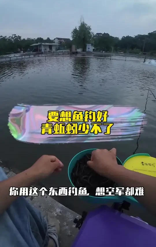 这个东西钓鱼，学会了小白也能爆护盘老板！#钓鱼 #鱼竿#猛攻突击鲢