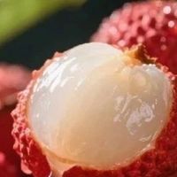 荔枝这样吃补气血还不上火！
