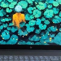 高考完的第一台笔记本！惠普星 BookPro 16