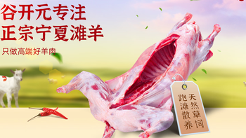 谷开元宁夏滩羊：从品质到烹饪的全方位测评