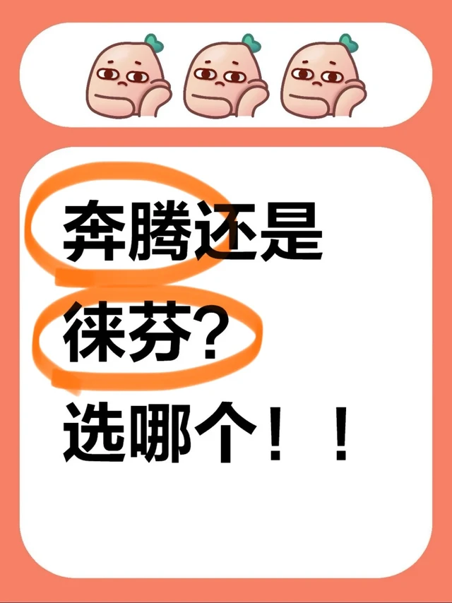 奔腾还是徕芬？选哪个！！
