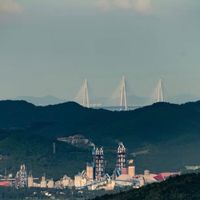 美早樱桃：国产樱桃的新巅峰