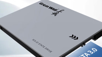 长城GW560系列1TB SSD：高速读写，稳定之选！