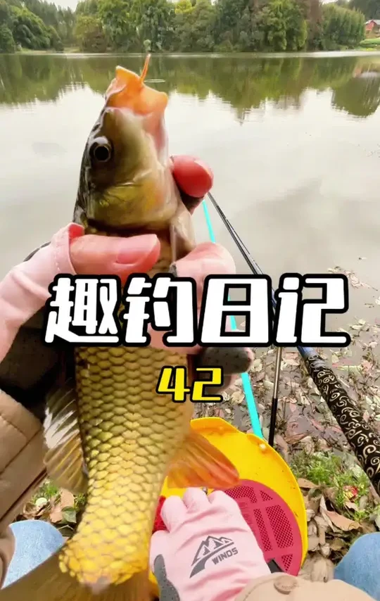 #原来钓鱼才是抖音运动顶流 #汉鼎卓越 #钓鱼人就是这么疯狂 #女钓手
