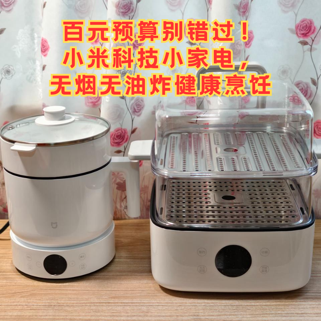 百元预算别错过！小米科技小家电，无烟无油炸健康烹饪