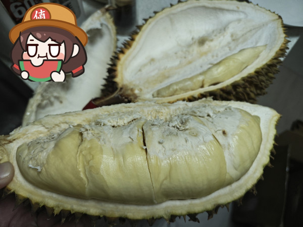 看直播买榴莲真上头！