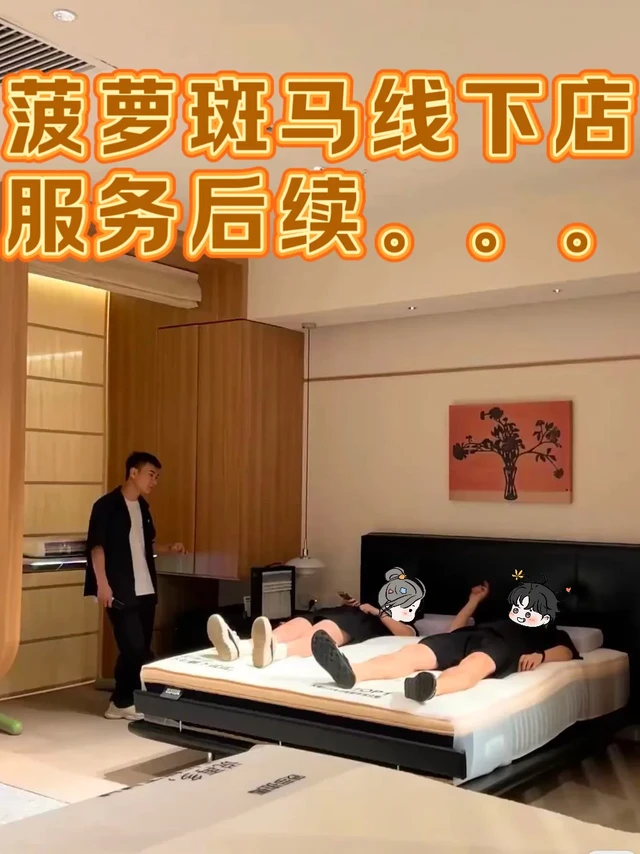 对象在菠萝斑马睡着了！