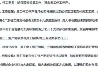 罗马仕宣布自2025年7月7日起停工停产，持续6个月