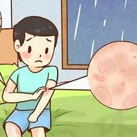 家用除螨仪哪个牌子效果好？如何选？公认好用的除螨仪榜单TOP5！