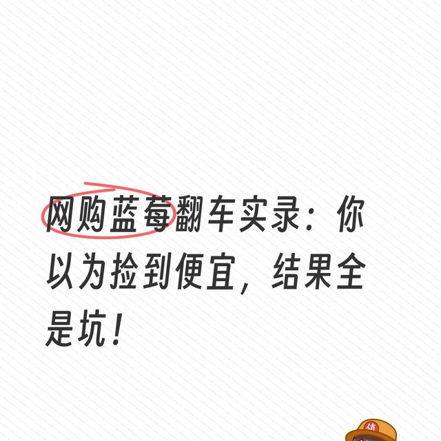 网购蓝莓翻车实录：你以为捡到便宜，结果全是坑！