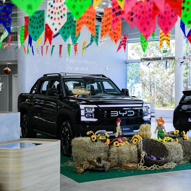 访谈巴西总统卢拉聊比亚迪，用数据论国产新能源车在国外的地位