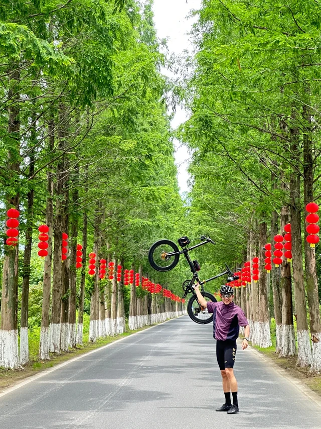 大行Dahon P8黑金碟刹改装电变折叠车451轮径99新#Dahon/大行 #爱车改装入门
	
落地50km内，很新，不过一直在吃土，出个喜欢的兄弟
	
车架: 大行P8碟刹
轮组: SilverR