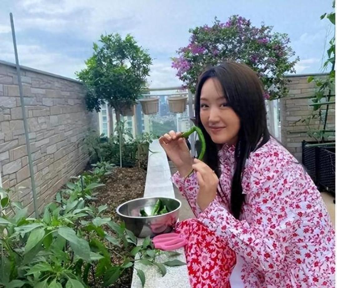 褪去星光丈量生活温度：娱乐圈掀起的河岸人生图鉴