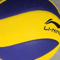 李宁排球专用比赛体育课中小学体考成人儿童软硬5号排球测评