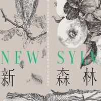 当《新森林志》用科学和艺术重述人类与树木的三百年对话