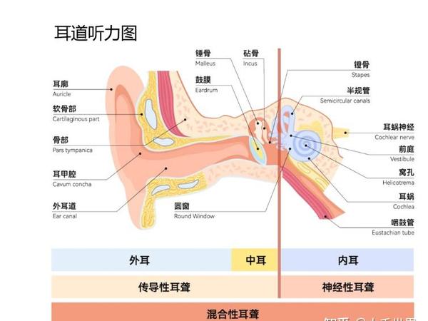 老人助听器什么牌子好一点？老人助听器一般多少钱？