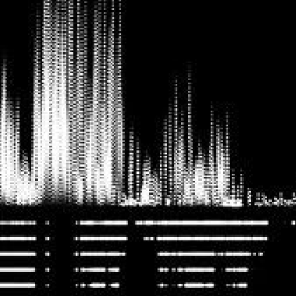 从声音到文字：4款语音转文字工具，全面提升工作与学习效率