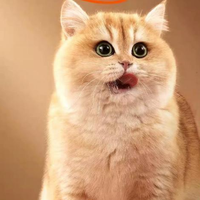 猫粮哪个牌子质量好性价比高？测评推荐十大品牌猫粮排行榜