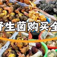 🍄 昆明野生菌购买全攻略