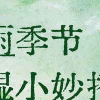 收纳防潮三大策略：密封与除湿并重